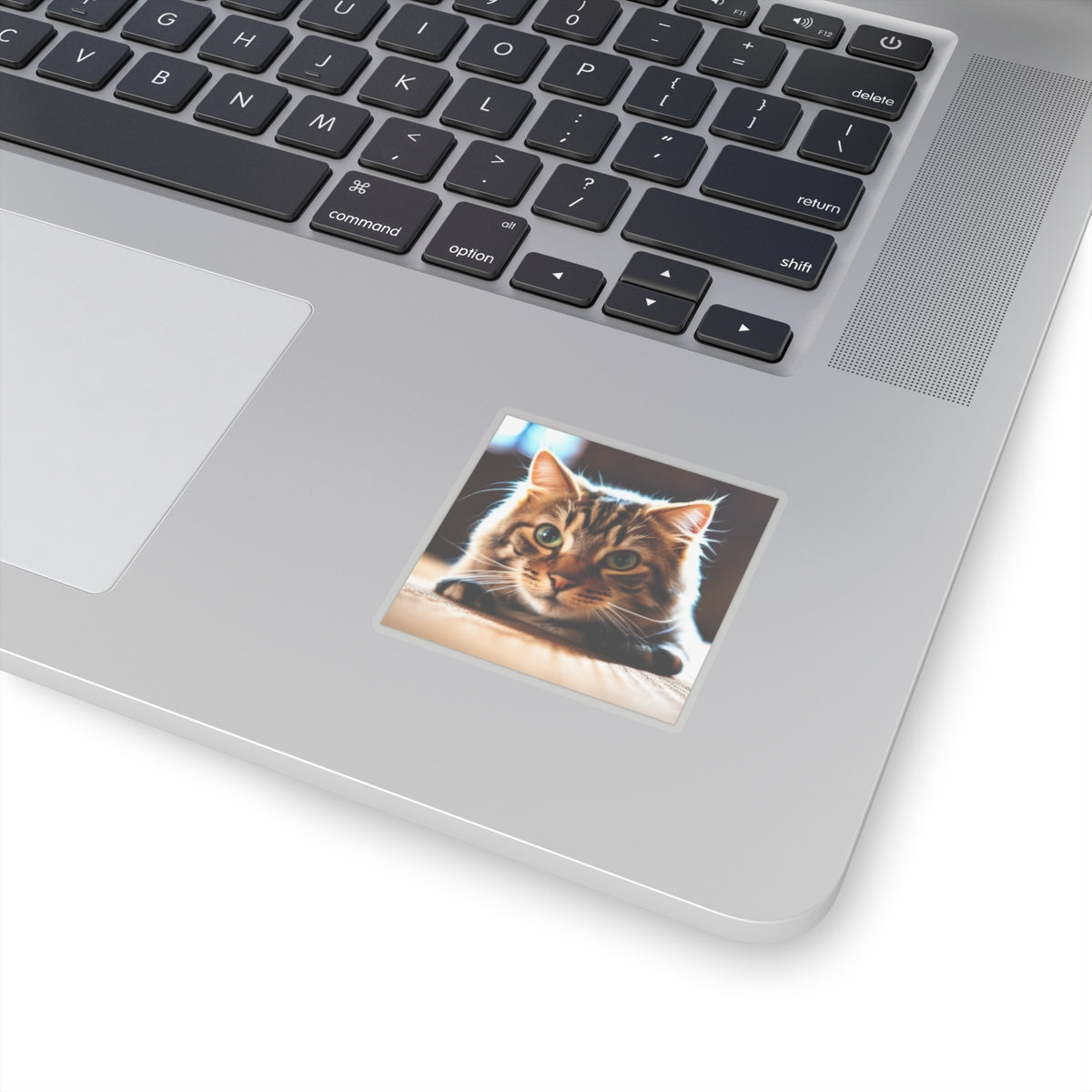 Kiss-Cut Stickers